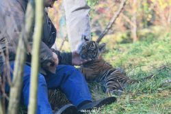 zoo-wuppertal-tschuna-daseep-03-079
