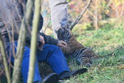 zoo-wuppertal-tschuna-daseep-03-081