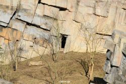 zoo-wuppertal-tschuna-daseep-07-001