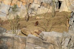 zoo-wuppertal-tschuna-daseep-07-012