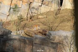 zoo-wuppertal-tschuna-daseep-07-053