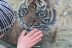 zoo-wuppertal-tschuna-daseep-08-200