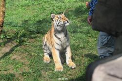 zoo-wuppertal-tschuna-daseep-10-001
