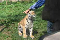 zoo-wuppertal-tschuna-daseep-10-002