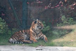 zoo-wuppertal-tschuna-daseep-12-008