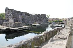 zoom-erlebniswelt-alaska-seeloewen-001