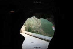 zoom-erlebniswelt-alaska-seeloewen-012