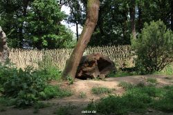 zoom-erlebniswelt-alaska-009