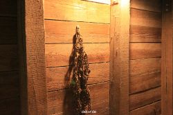 zoom-erlebniswelt-alaska-023