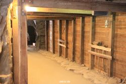zoom-erlebniswelt-alaska-024