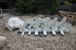 zoom-erlebniswelt-alaska-031