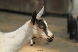 zoom-erlebniswelt-allgemein-017