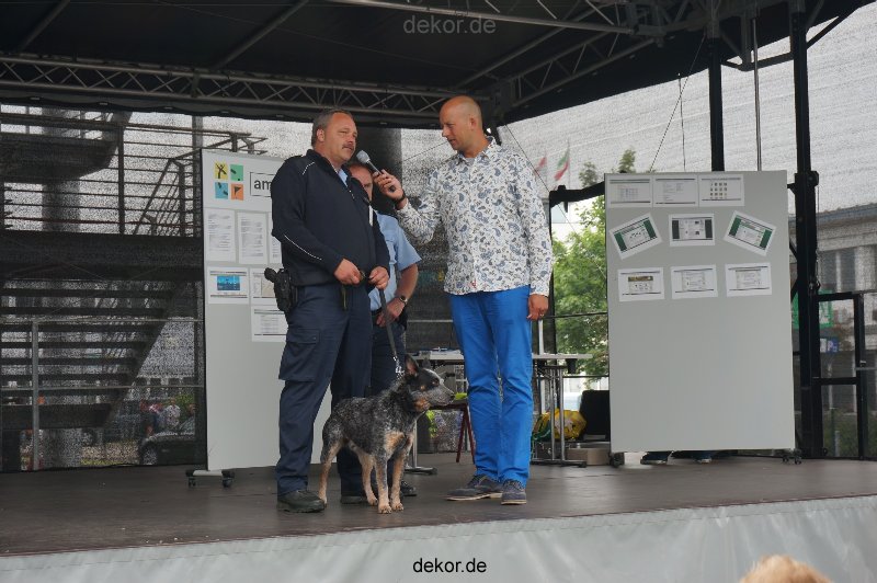 duesseldorf-luftfahrttag-2013-spuerhunde-001