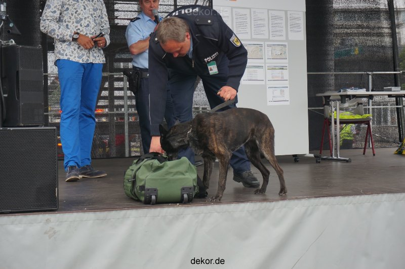 duesseldorf-luftfahrttag-2013-spuerhunde-011