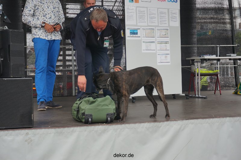 duesseldorf-luftfahrttag-2013-spuerhunde-012