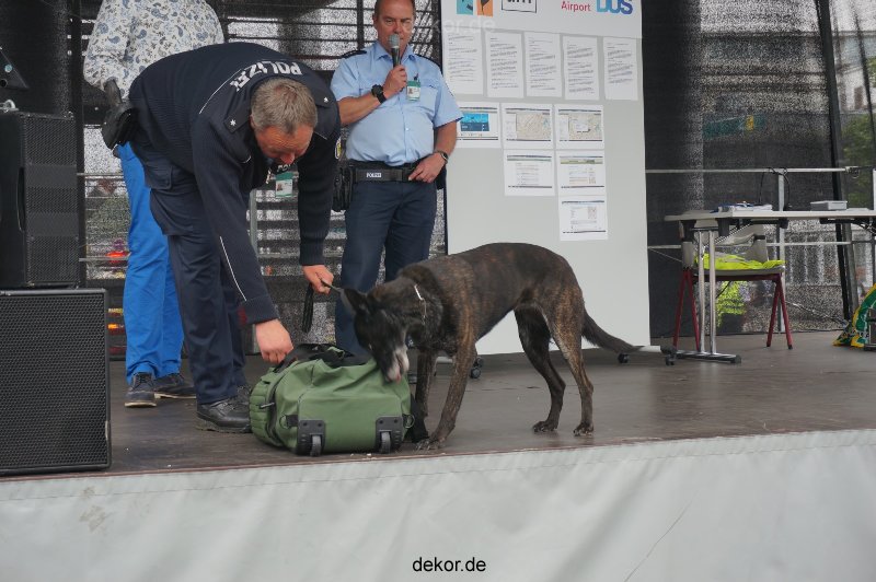 duesseldorf-luftfahrttag-2013-spuerhunde-013