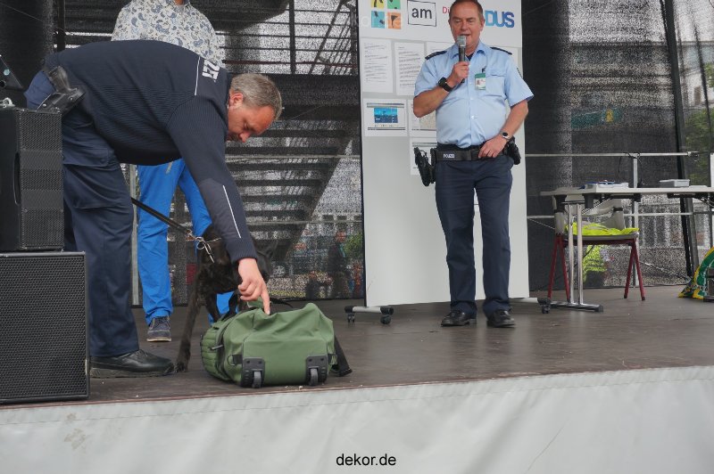 duesseldorf-luftfahrttag-2013-spuerhunde-014