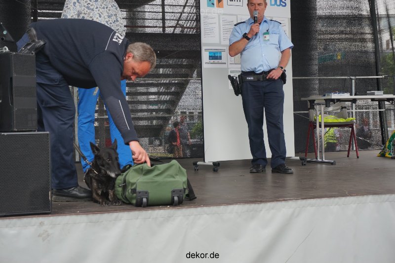 duesseldorf-luftfahrttag-2013-spuerhunde-015