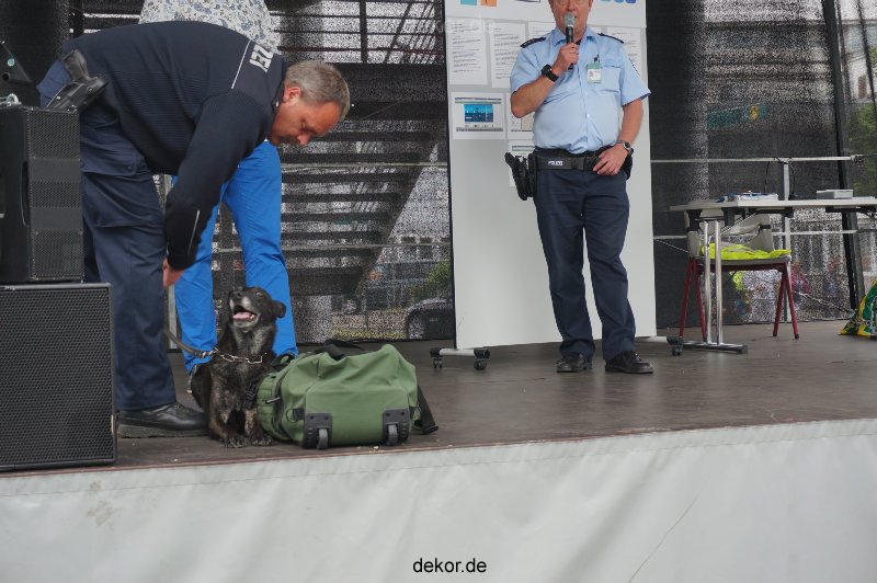 duesseldorf-luftfahrttag-2013-spuerhunde-016