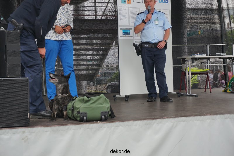 duesseldorf-luftfahrttag-2013-spuerhunde-017