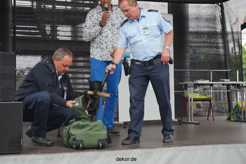 duesseldorf-luftfahrttag-2013-spuerhunde-022