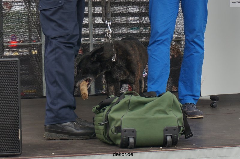 duesseldorf-luftfahrttag-2013-spuerhunde-025