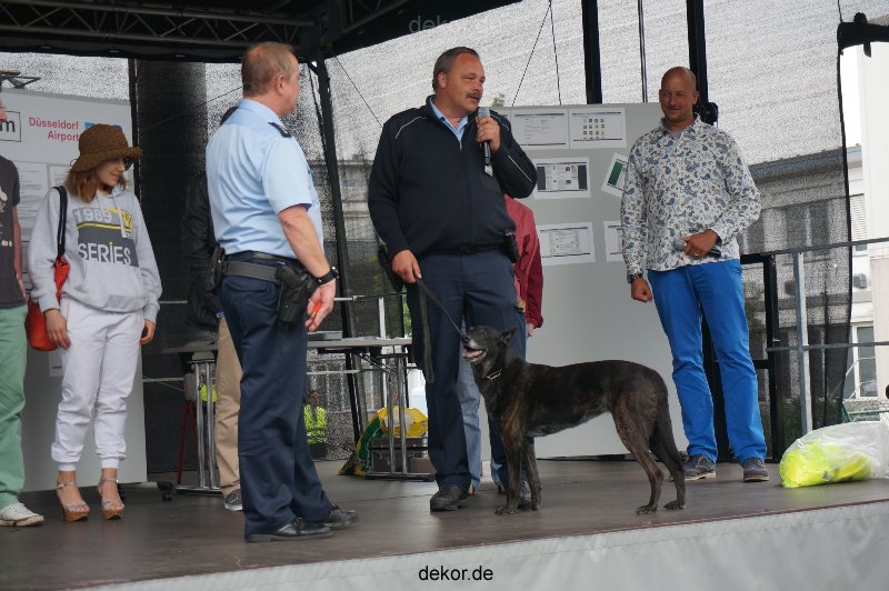 duesseldorf-luftfahrttag-2013-spuerhunde-031