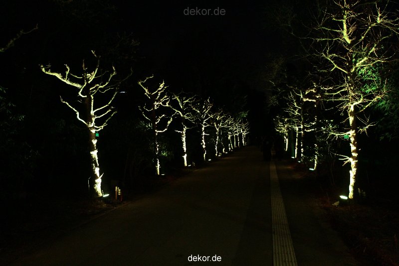 essen-gruga-parkleuchten-2011-1-194