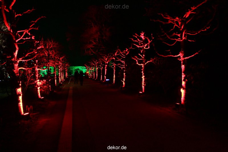 essen-gruga-parkleuchten-2011-1-196