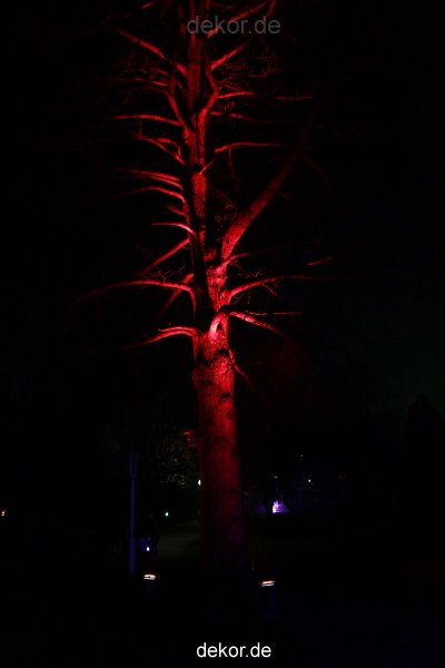 essen-gruga-parkleuchten-2011-2-113