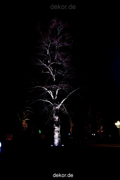 essen-gruga-parkleuchten-2012-1-047