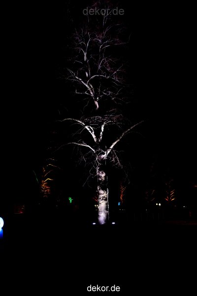 essen-gruga-parkleuchten-2012-1-048