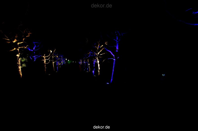 essen-gruga-parkleuchten-2012-1-106