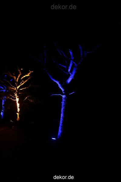 essen-gruga-parkleuchten-2012-1-108