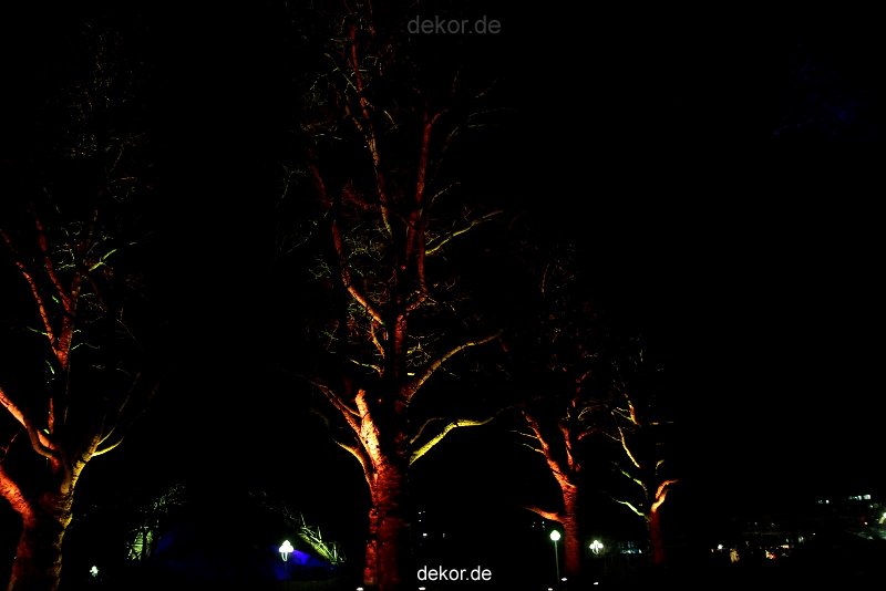 essen-gruga-parkleuchten-2012-1-197