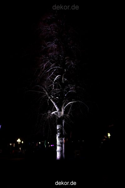 essen-gruga-parkleuchten-2012-1-202