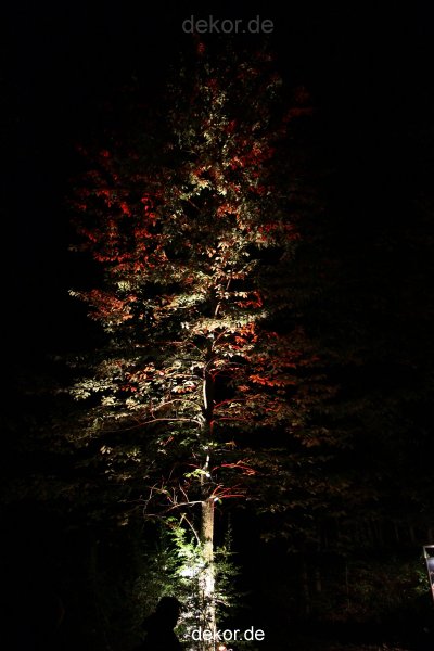 hamm-maxipark-herbstleuchten-2010-2-239