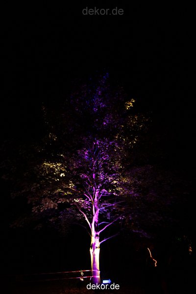 hamm-maxipark-herbstleuchten-2010-2-323