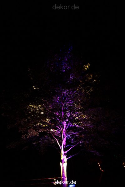 hamm-maxipark-herbstleuchten-2010-2-324