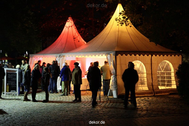 hamm-maxipark-herbstleuchten-2010-146