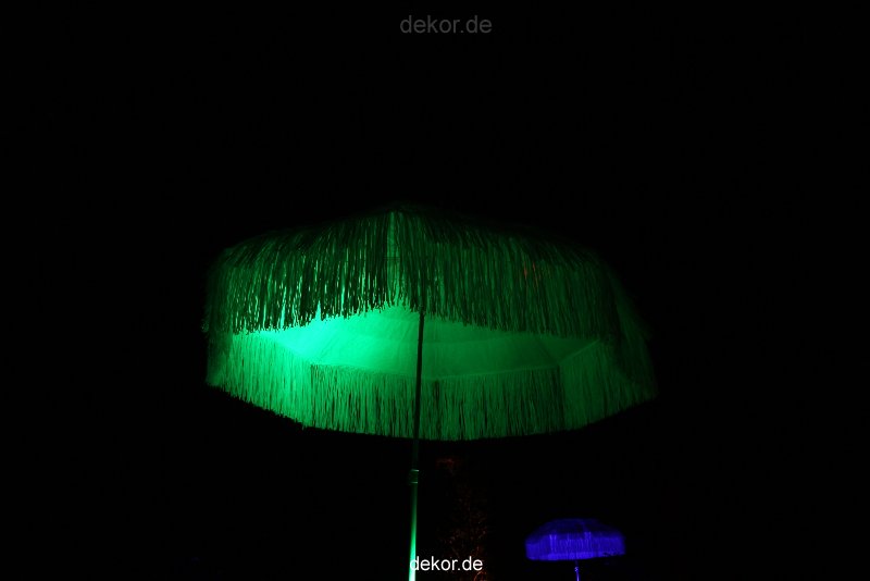 hamm-maxipark-herbstleuchten-2010-209