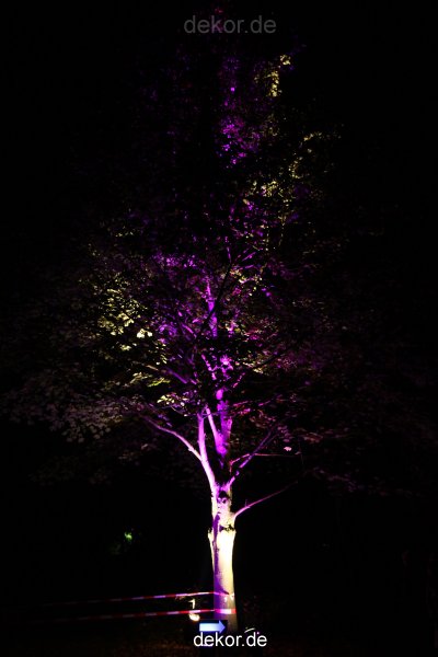 hamm-maxipark-herbstleuchten-2010-253
