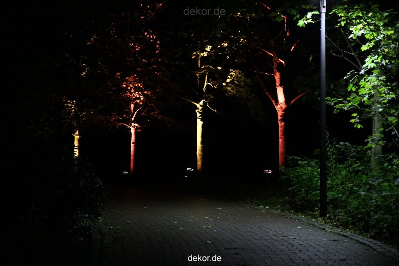 hamm-maxipark-herbstleuchten-2010-348