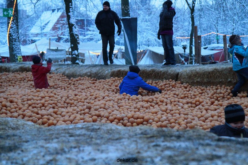 weihnachtsmaerkte-2010-telgte-mittelaltermarkt-066