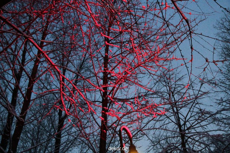 weihnachtsmaerkte-2010-telgte-mittelaltermarkt-103