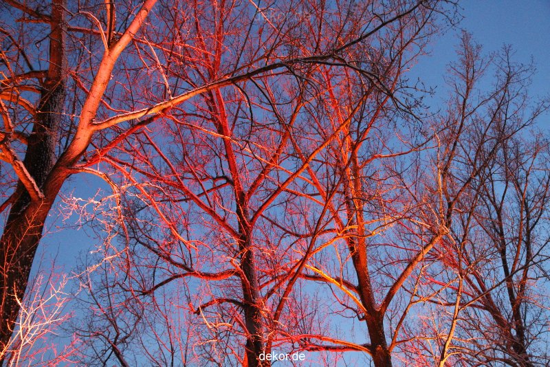 weihnachtsmaerkte-2010-telgte-mittelaltermarkt-133
