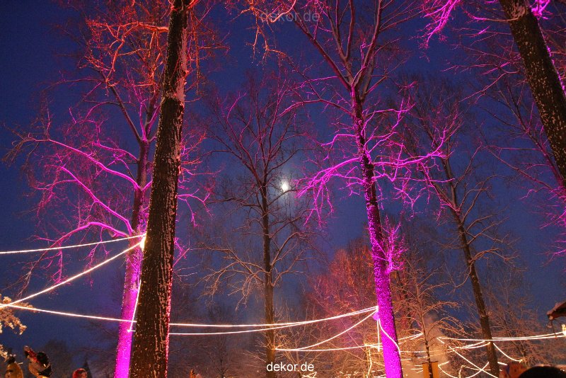 weihnachtsmaerkte-2010-telgte-mittelaltermarkt-160
