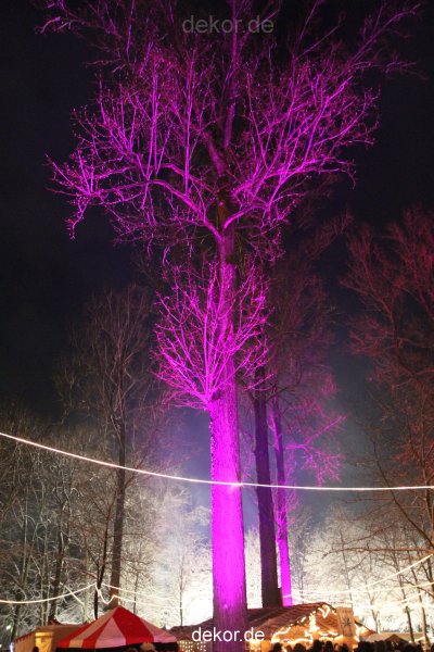 weihnachtsmaerkte-2010-telgte-mittelaltermarkt-250