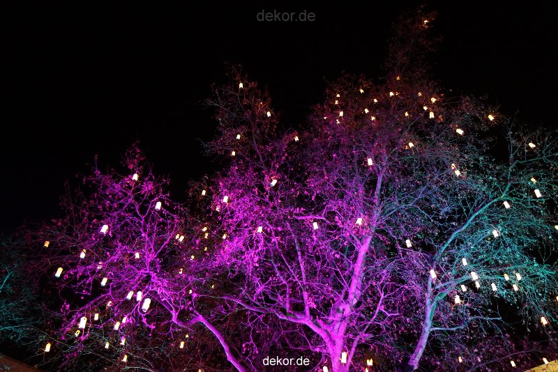 weihnachtsmaerkte-2011-koeln-alter-markt-077
