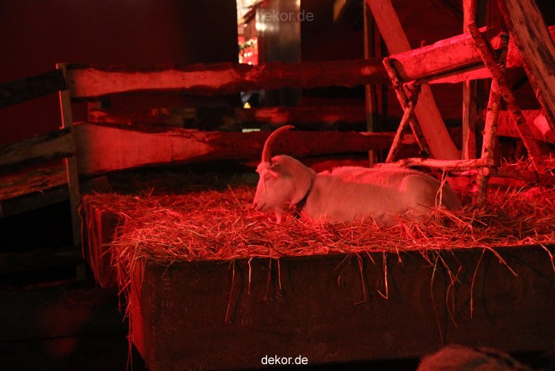 weihnachtsmaerkte-2012-wuppertal-lichtermarkt-040